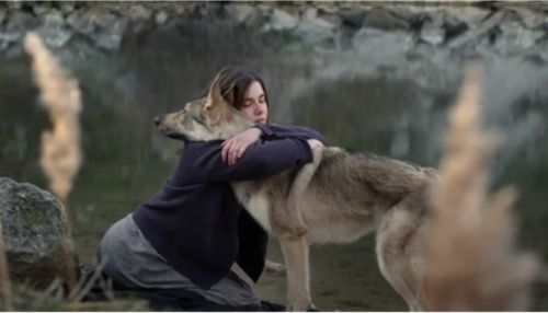 Что за фильм Джульбарс и какой реальный подвиг лег в основу сюжета