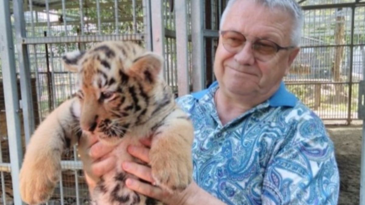 Чтобы тиграм мяса докладывали: барнаульский зоопарк просит помощи у горожан