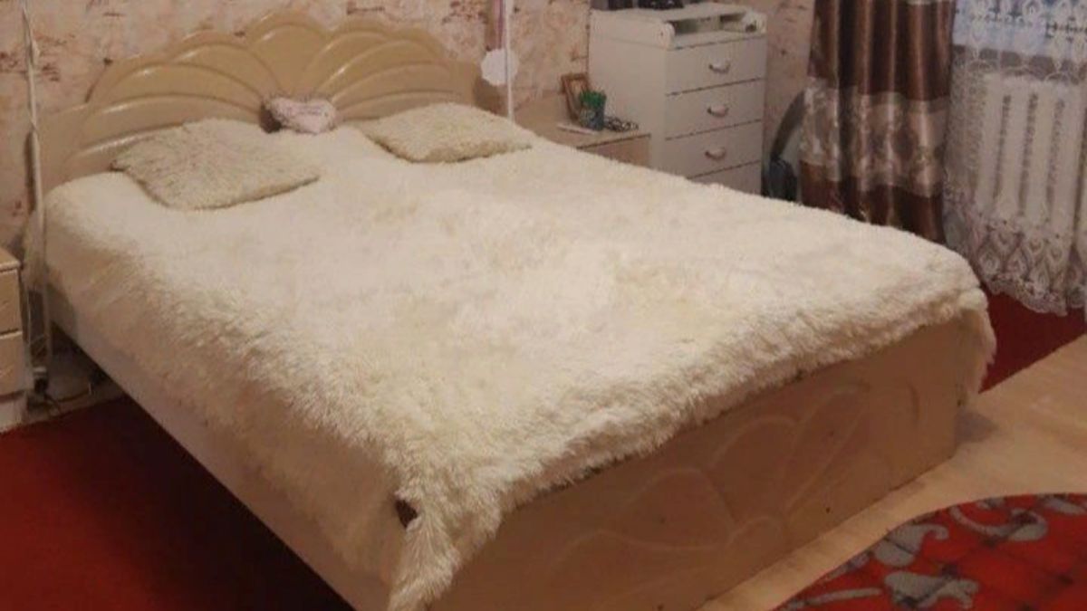 По миллиону за комнату: в Барнауле выставили на продажу 12-комнатную квартиру