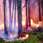 В Алтайском крае объявили штормовое предупреждение