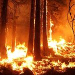 87 пожаров и 22 штрафа за сутки: горячий сезон начался у пожарных в крае