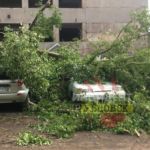 В Рубцовске ураганный ветер повалил деревья на машины