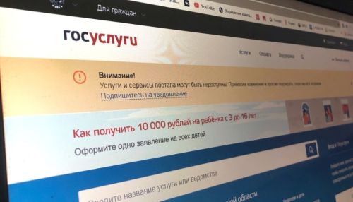 3,6 млн заявлений за 40 часов: россияне поставили рекорд на Госуслугах