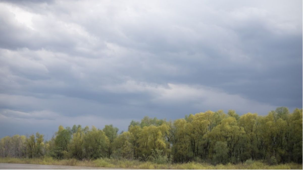 Ветер, грозы и жара: штормпрогноз объявлен в Алтайском крае