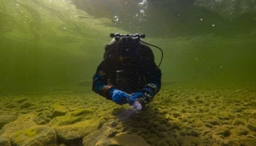 Дайверы устроили виртуальную экскурсию в загадочный мир Телецкого озера