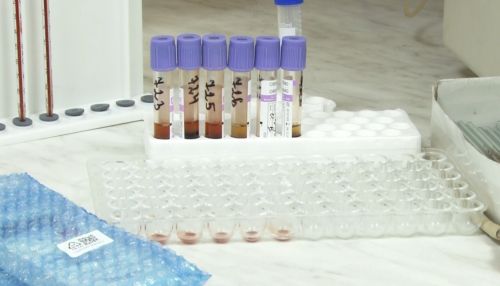 В барнаульских клиниках начнут делать тесты на антитела к COVID