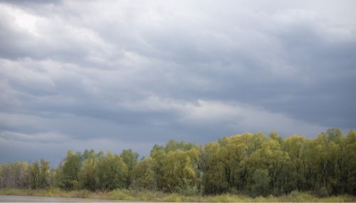 Утепляемся: сильный ветер, грозы и град прогнозируют 21 мая на Алтае