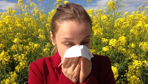 В Алтайском крае в мае наблюдается всплеск аллергии
