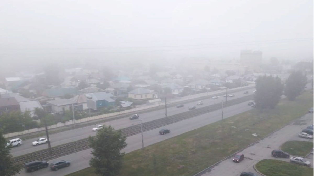 Нулевая видимость на трассах: туман опустился утром 22 мая на Алтайский край