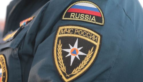 Новосибирские спасатели стригли траву маникюрными ножницами