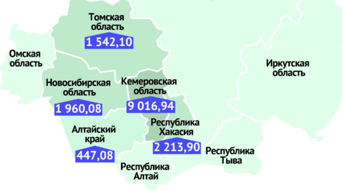 Алтайский край получит почти 450 млн рублей на поддержку из-за эпидемии COVID-19