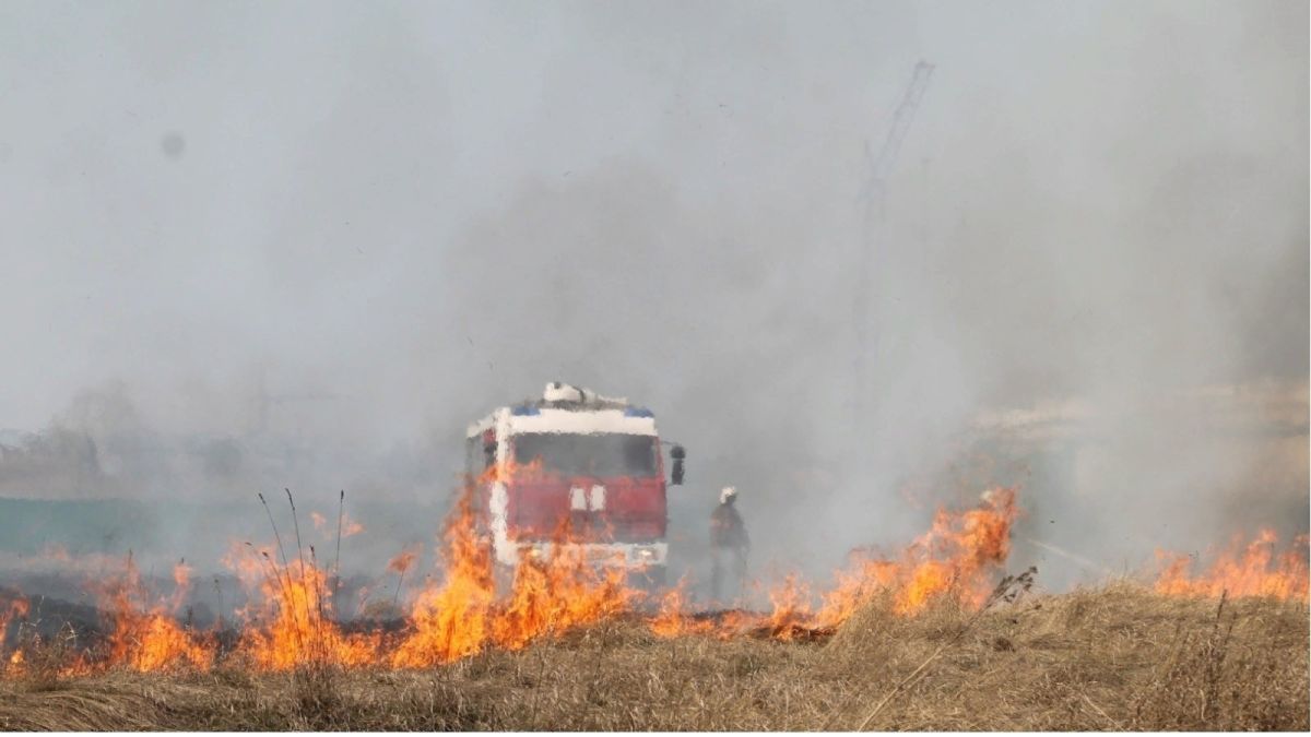 Жара отступает: особый противопожарный режим отменили в Алтайском крае 