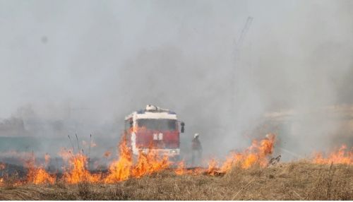 Жара отступает: особый противопожарный режим отменили в Алтайском крае