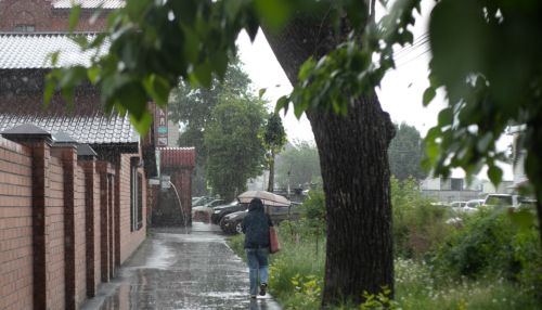 Освежились: дожди, грозы и похолодание пришли на Алтай