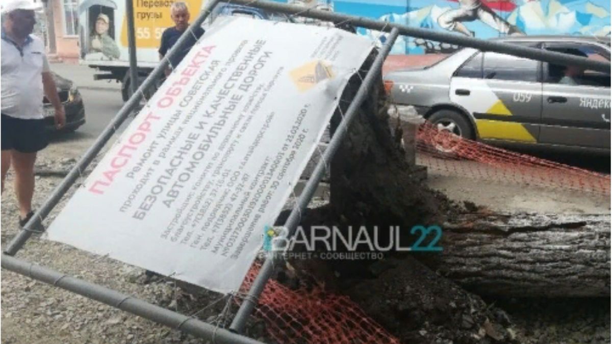 Сильный ветер повалил дерево в Барнауле: задело машину и перекрыло дорогу