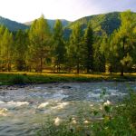 Горный Алтай остается закрытым для туристов до 22 июня