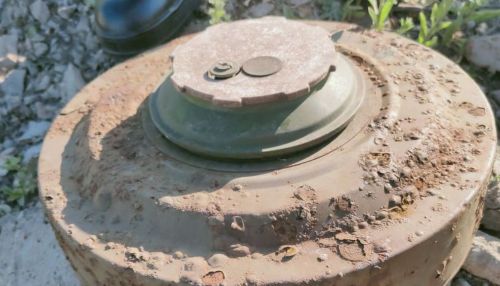Жители алтайского села наткнулись на противотанковую мину