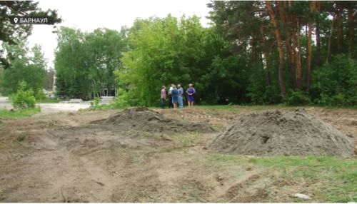 Согласованно и законно: кто выделил участки земли под коттеджи в бору Барнаула
