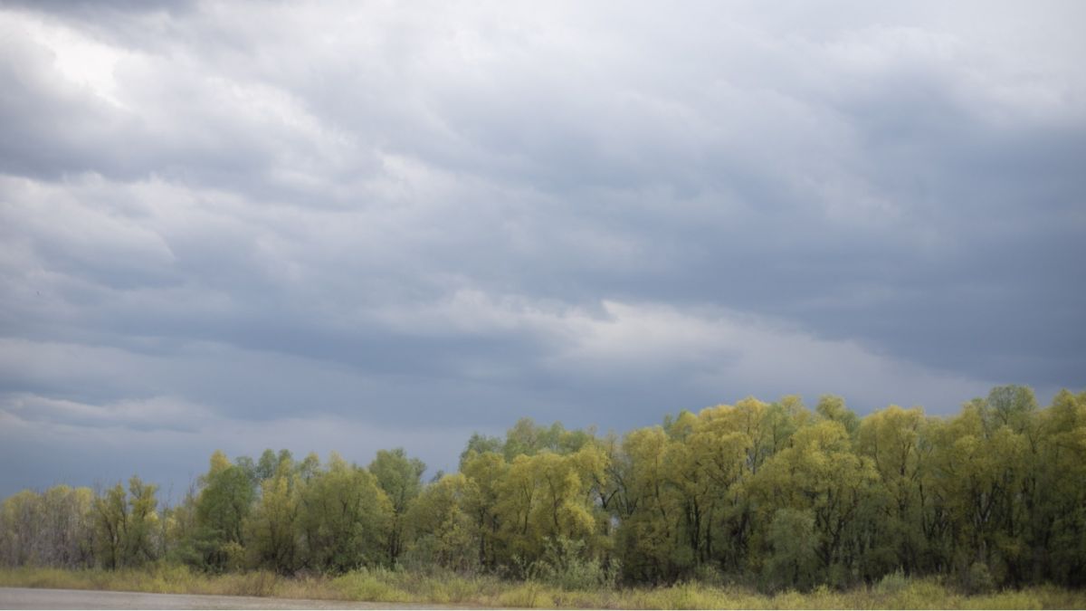 Ливни, ветер и град: синоптики предупредили об ухудшении погоды в Алтайском крае