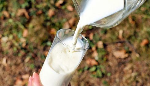 В Алтайском крае возбудили первое дело из-за сговора на рынке закупа молока