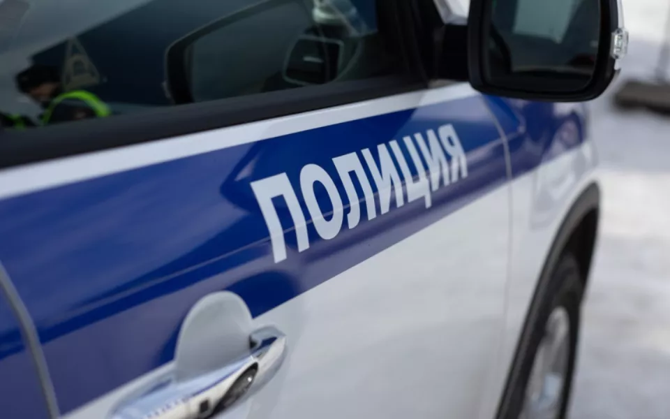 Толпа подростков избила девочку возле ТРЦ в Бийске