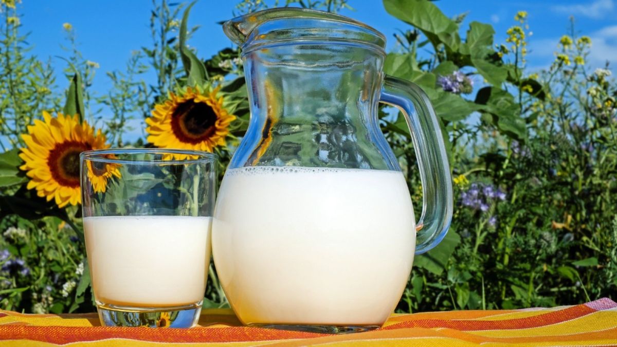 "Это безобразие надо прекратить": министр возмущен жадностью перекупщиков молока