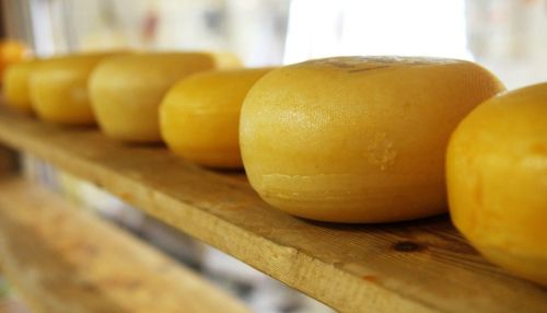 Предприятие-фантом, торговавшее подозрительным сыром, обнаружили на Алтае