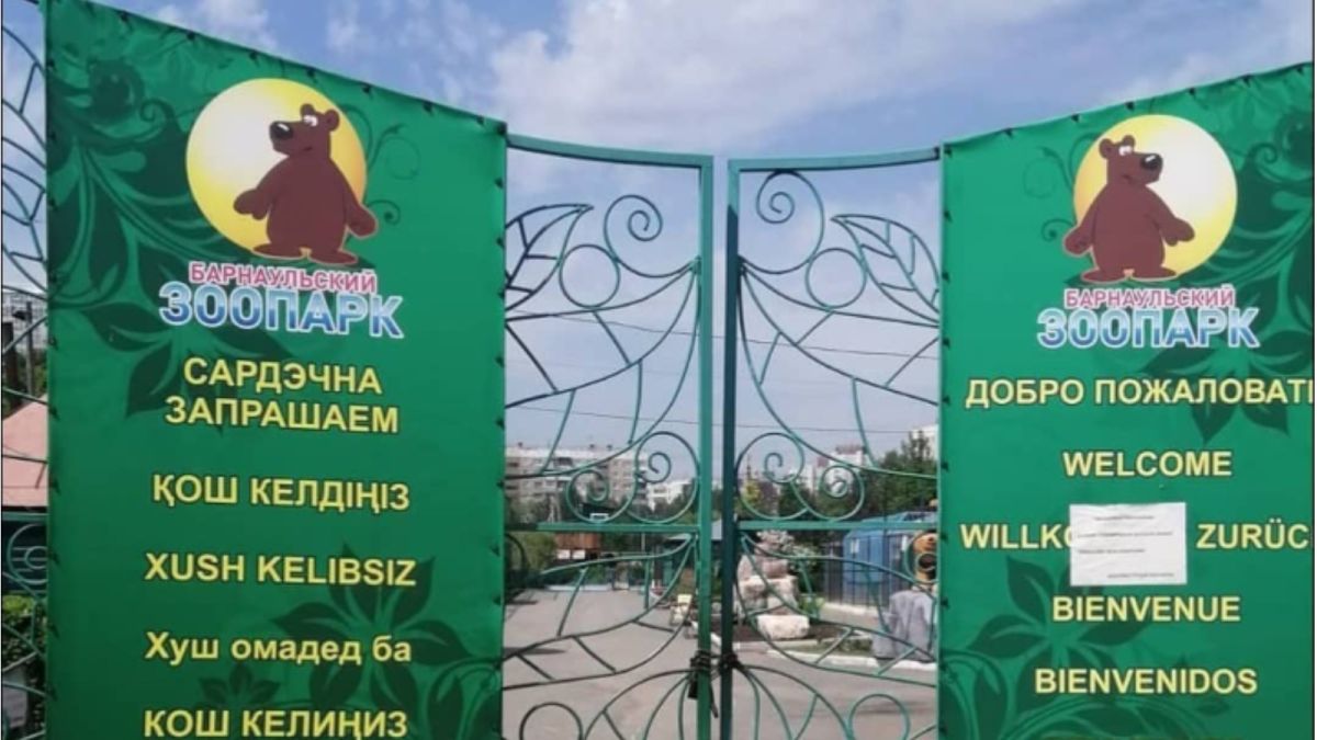 Зоопарк Барнаула раскритиковали за толпы людей без масок