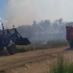 В Алтайском крае за сутки спасатели потушили 47 пожаров