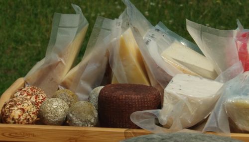 Трезвая коза: алтайская семья готовит крафтовый домашний сыр из козьего молока