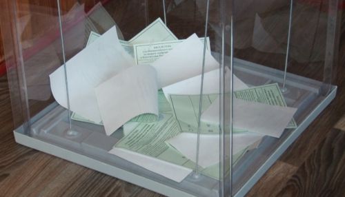 Голосование на селе: жители Боровлянки о голосовании по поправкам в Конституцию
