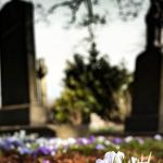 РПЦ собирается вскрыть могилы репрессированных в Рубцовске