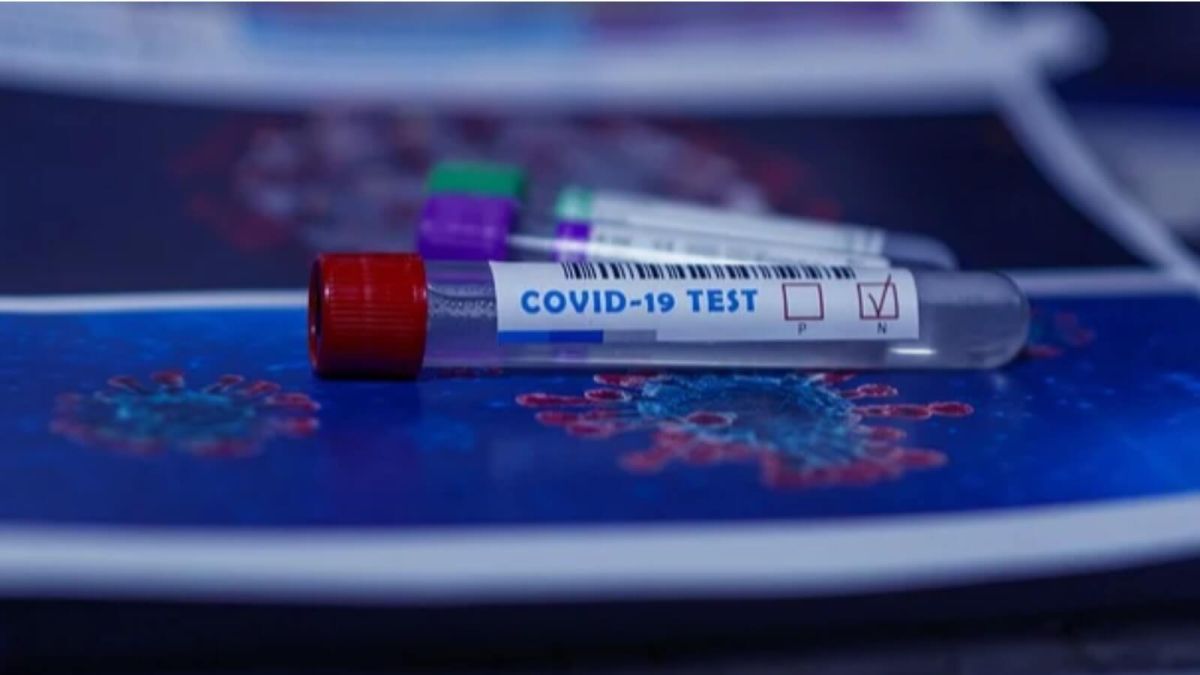 В крови 5% обследованных барнаульцев нашли антитела к COVID-19