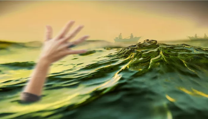 На берегу водоема в Новосибирске женщина спасла едва не утонувшую девочку