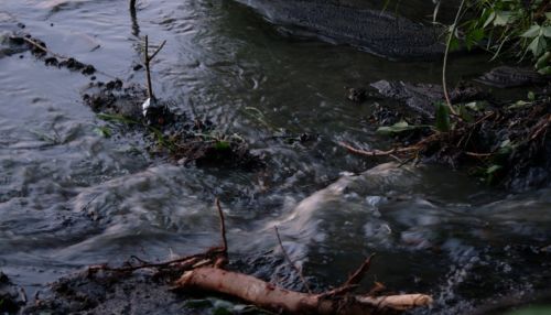 Пугающий вид: непонятная черная масса стекает в реку Бию