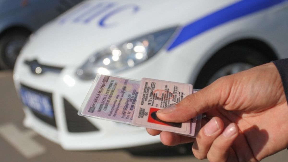 В России могут появиться новые водительские права: что изменится