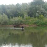 Утонули дети из многодетной семьи: подробности трагедии на реке Алей в Рубцовске