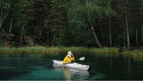 Известного блогера застыдили за фото на гейзерном озере Алтая