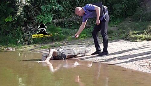 Уехал на заработки: 23-летний житель Алейска утонул в реке Новосибирской области