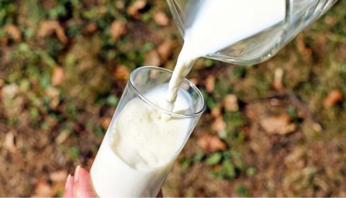 В Алтайском крае возбудили еще одно дело на закупщиков молока