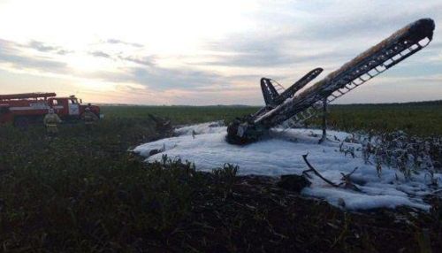 Самолет Ан-2 разбился в Нижегородской области, есть выживший