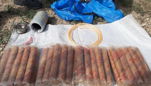 Двое жителей Алтайского края пытались продать 8 кг взрывчатки