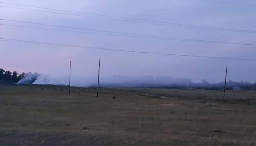 Нас травят!: жители Павловска возмущены многонедельной вонью от горящей свалки