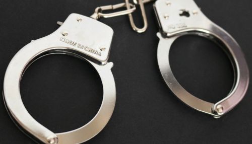 Еще двух фигурантов арестовали по делу о торговле детьми