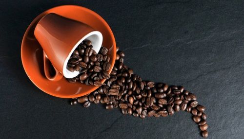 Помогает при запорах: доктор Мясников рассказал о пользе кофе