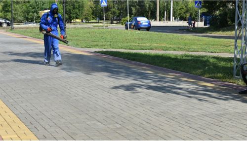 В алтайском Роспотребнадзоре высоко оценили эффективность дезинфекции улиц