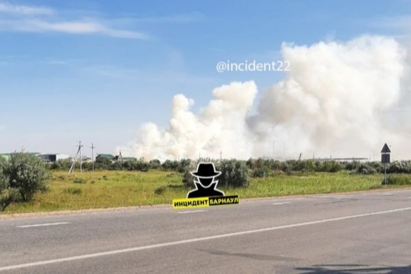 На рубцовском лесоперерабатывающем заводе произошел пожар