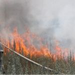 В Алтайском крае выгорело в пять раз больше леса, чем в прошлом году