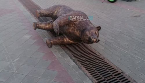 Проснулся и снова охраняет город: статую медведя перевернули в Барнауле