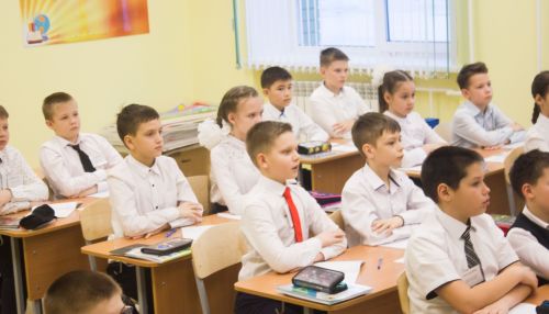 Многодетным семьям Алтайского края начали выплачивать пособия к школе